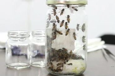 New COVID Fighting Measures