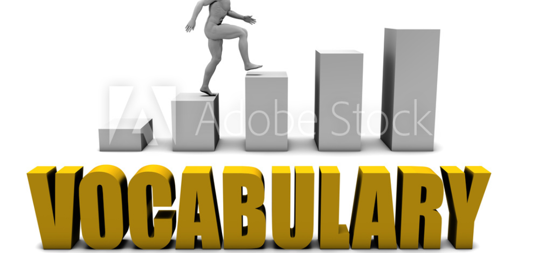 Vocabulary